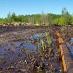 Nature pollution by oil products Nature pollution by oil products