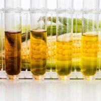 Corn generated ethanol biofuel with test tubes on white background Corn generated ethanol biofuel with test tubes on white background