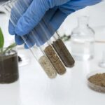Laboratory assistant holding glass tubes of sand, black soil and clay befor testing them Laboratory assistant holding glass tubes of sand, black soil and clay befor testing them