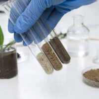 Laboratory assistant holding glass tubes of sand, black soil and clay befor testing them