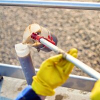 Worker takes samples from the septic tank