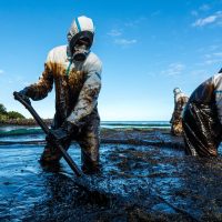 Volunteers clean the ocean coast from oil after a tanker wreck.