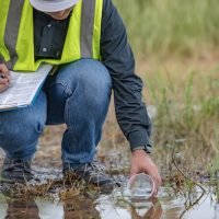 contaminated site